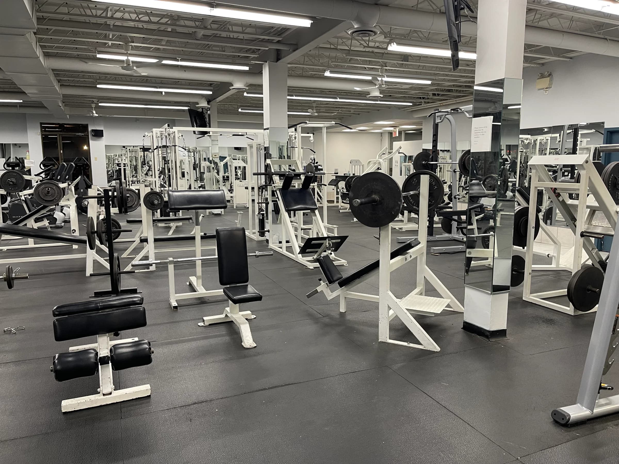 Treadmill row