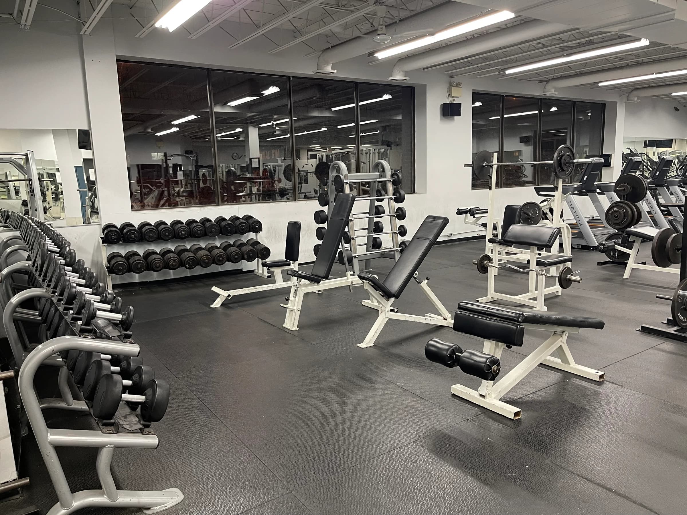 Free Weights